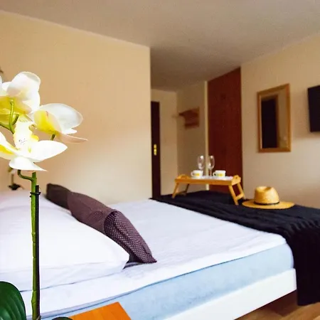 Guest house Dom Pod Jeleniem Leba